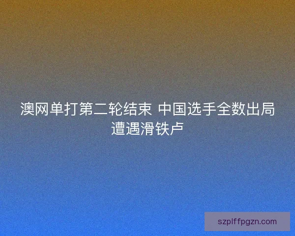 澳网单打第二轮结束 中国选手全数出局遭遇滑铁卢